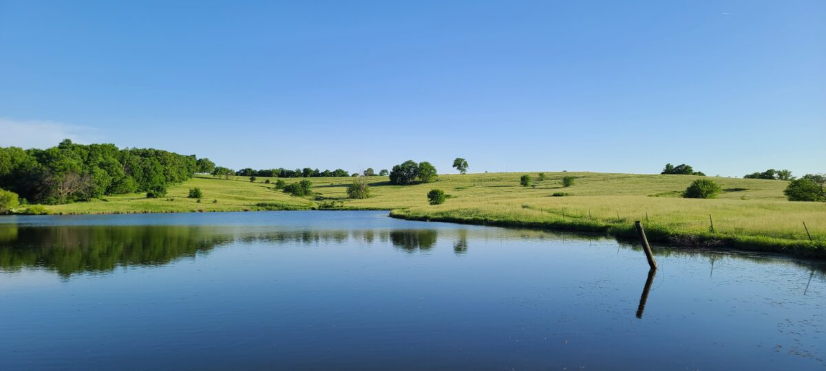 A blue and reflective pond with green banks.