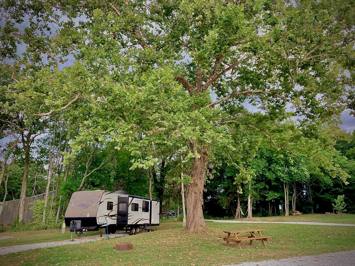 A camper parked near a tree.