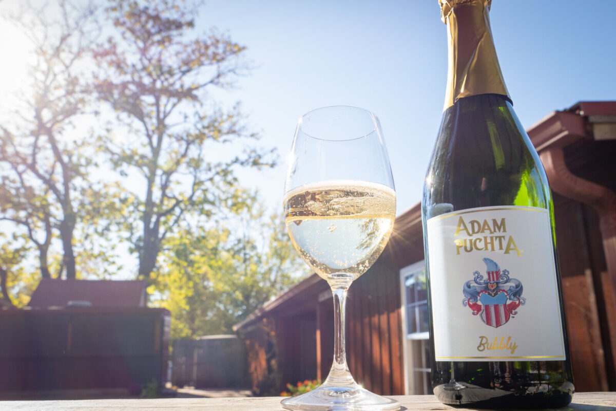A wine glass and bottle outside.