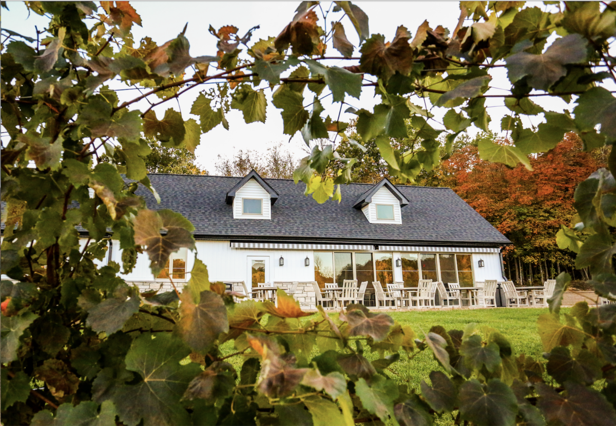 A white building with a grey roof is shown framed by fall leaves.