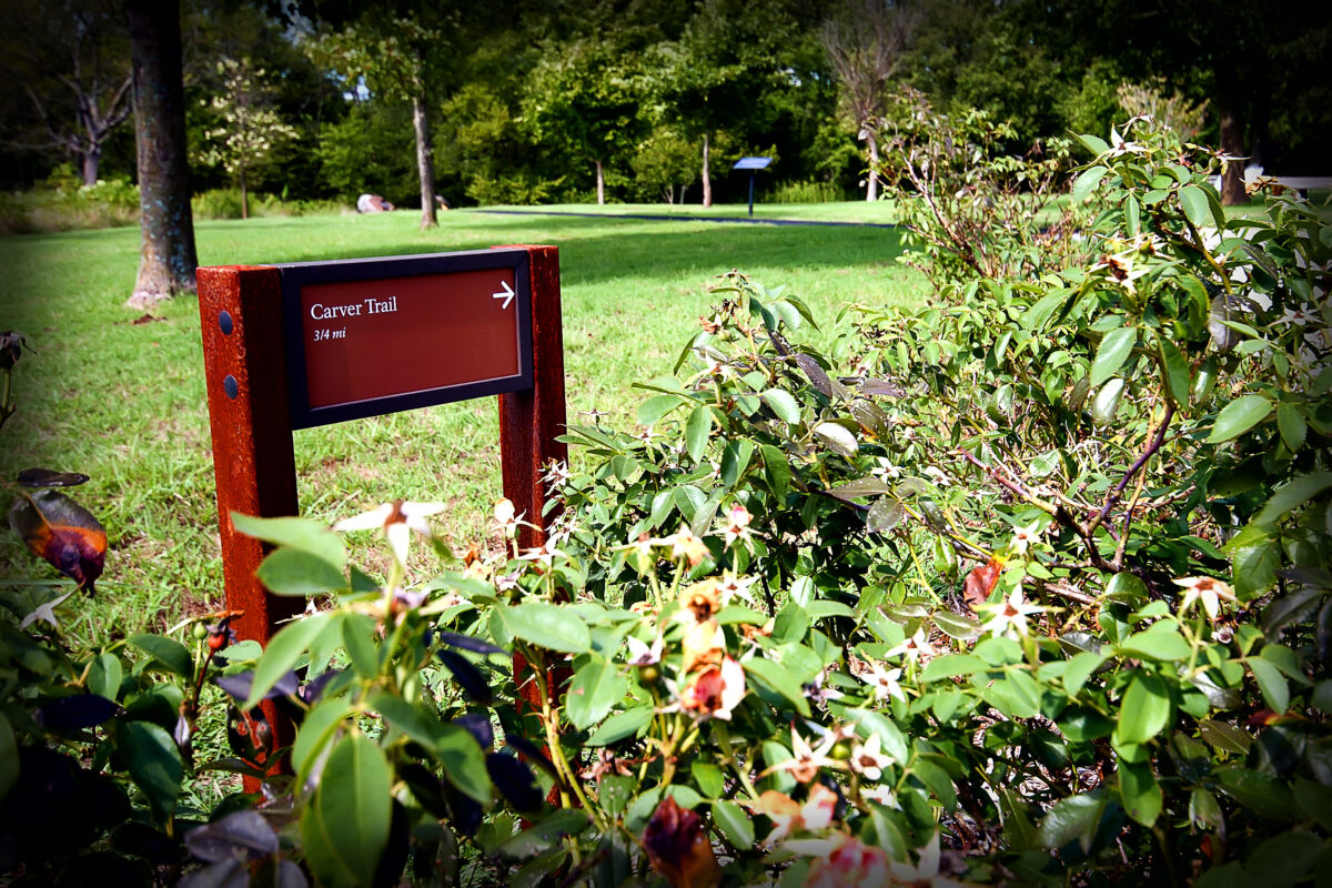 Small red metal Carver Trail Sign surrounded by greenery and wildflowers.
