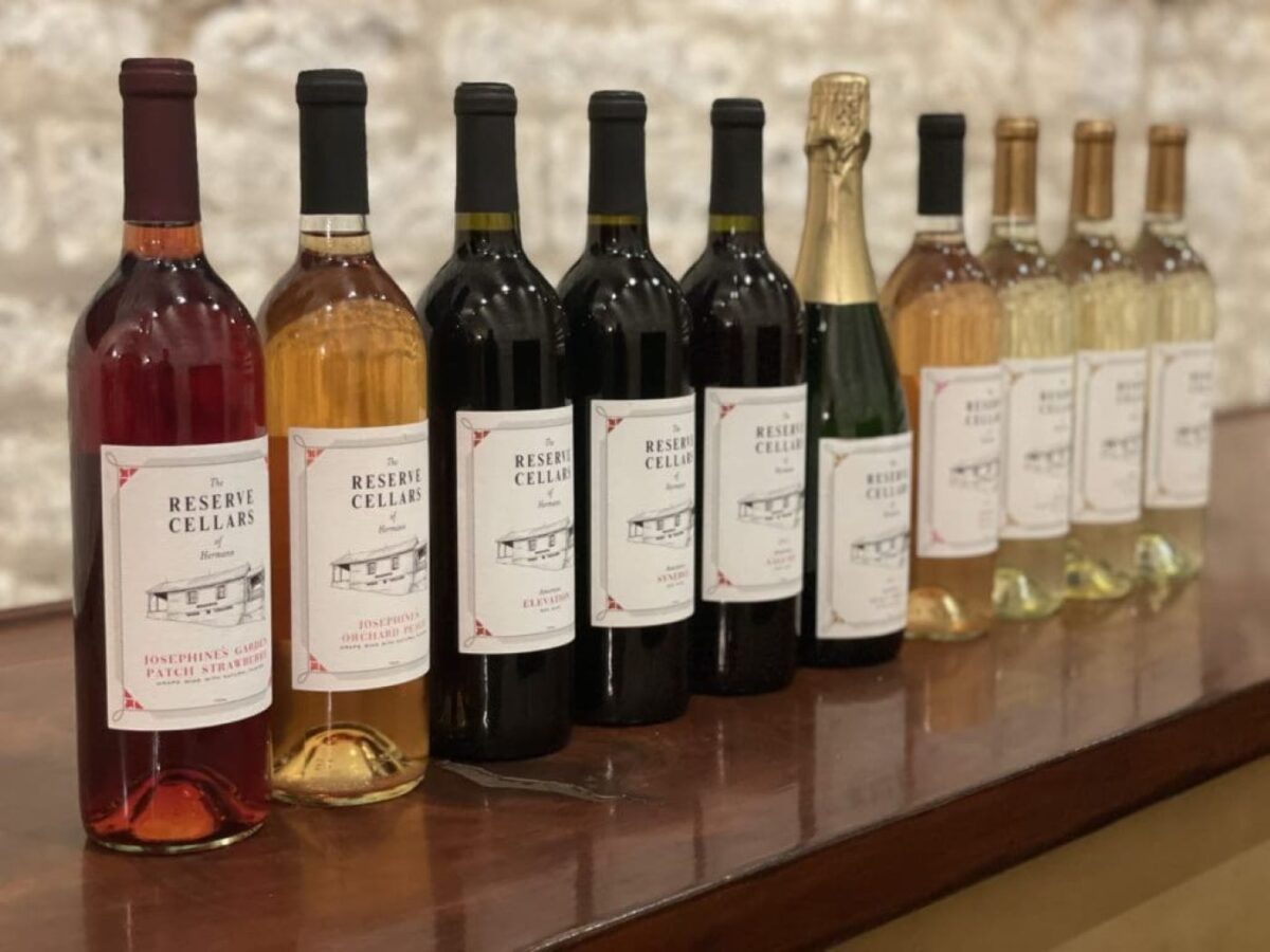 Ten bottles of wine of different varieties lined up on a table.