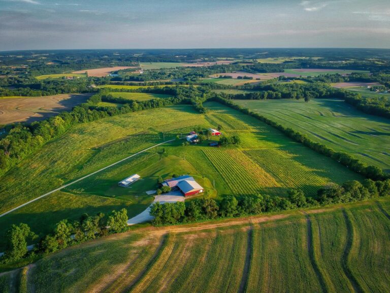 An aerial landscape shot of a vineyard.