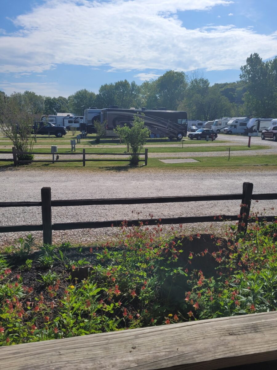 Flowers bloom around a campground.