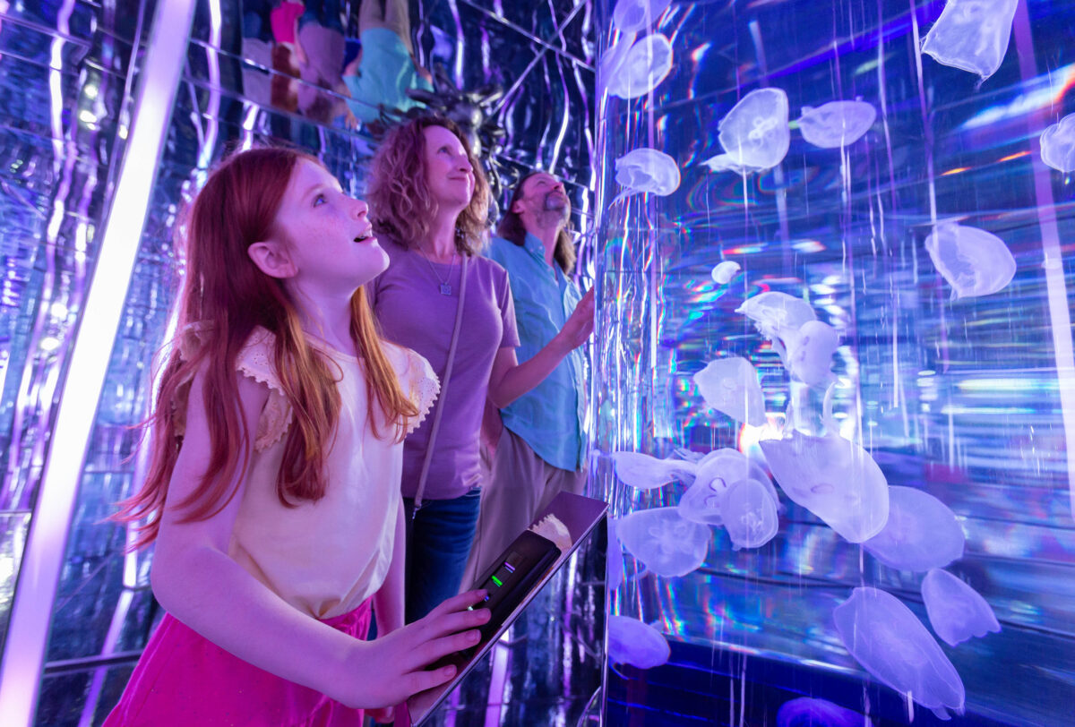 Bloom Room