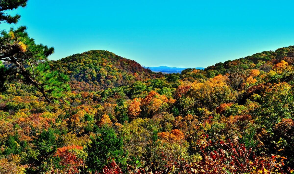View from the Glade Top Trail