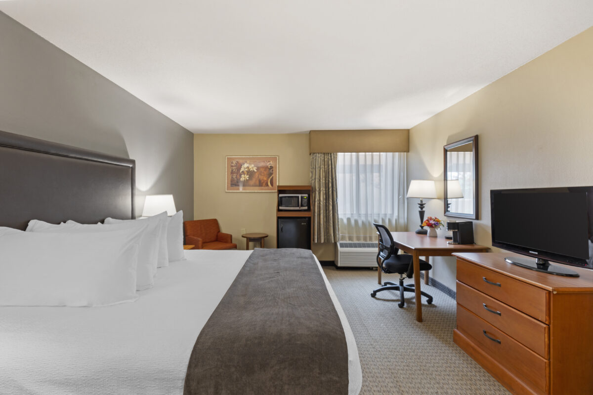 King Bed guest room