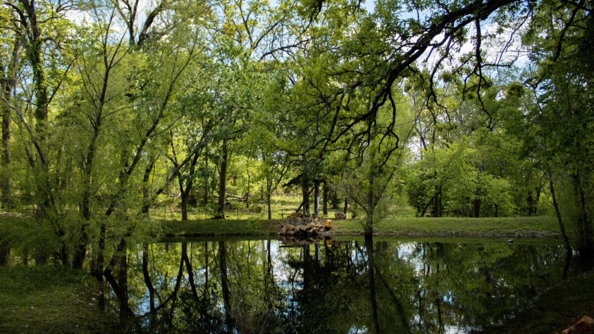 Water and trees along a campground.