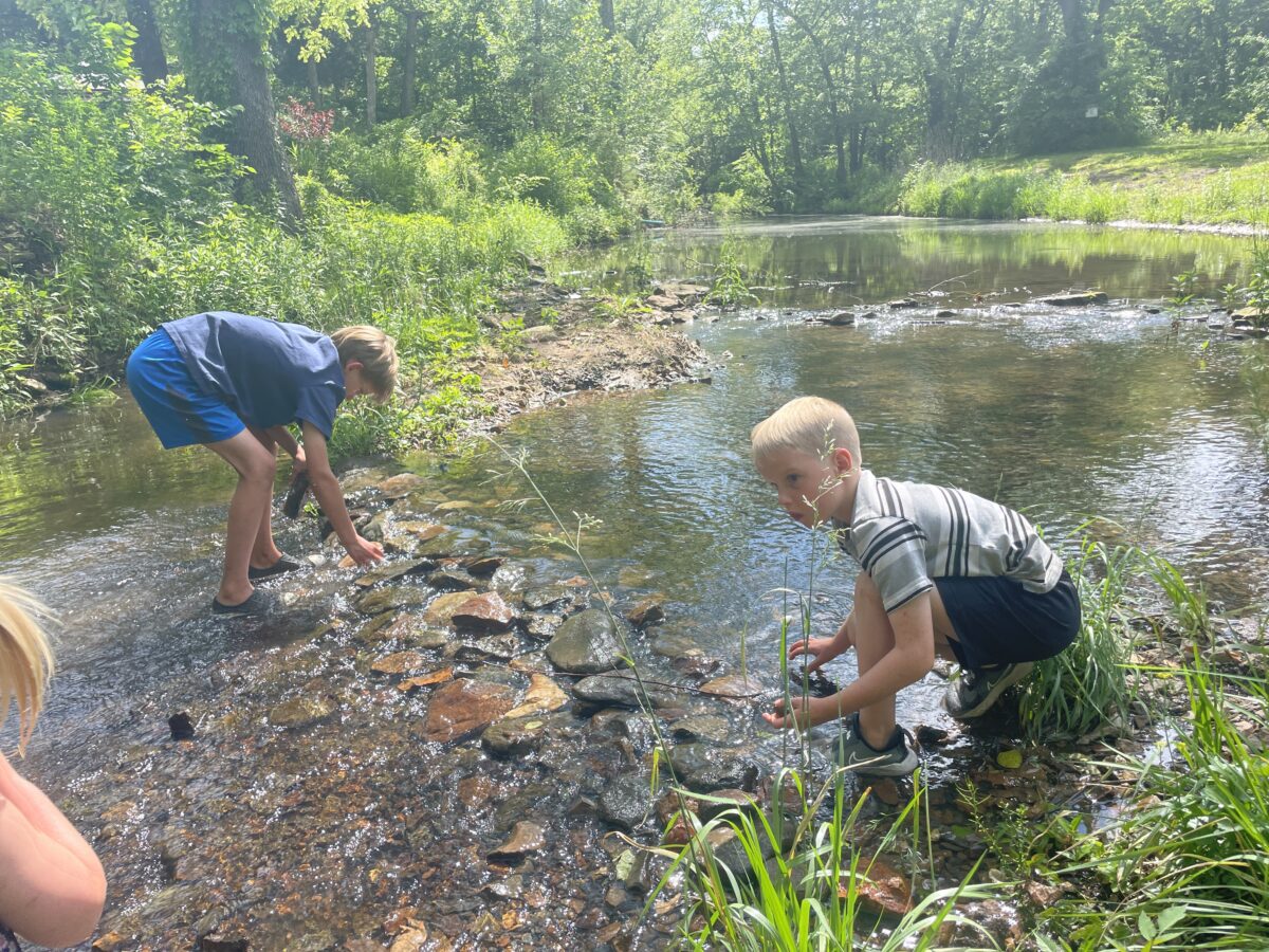 Children playing near a stream.