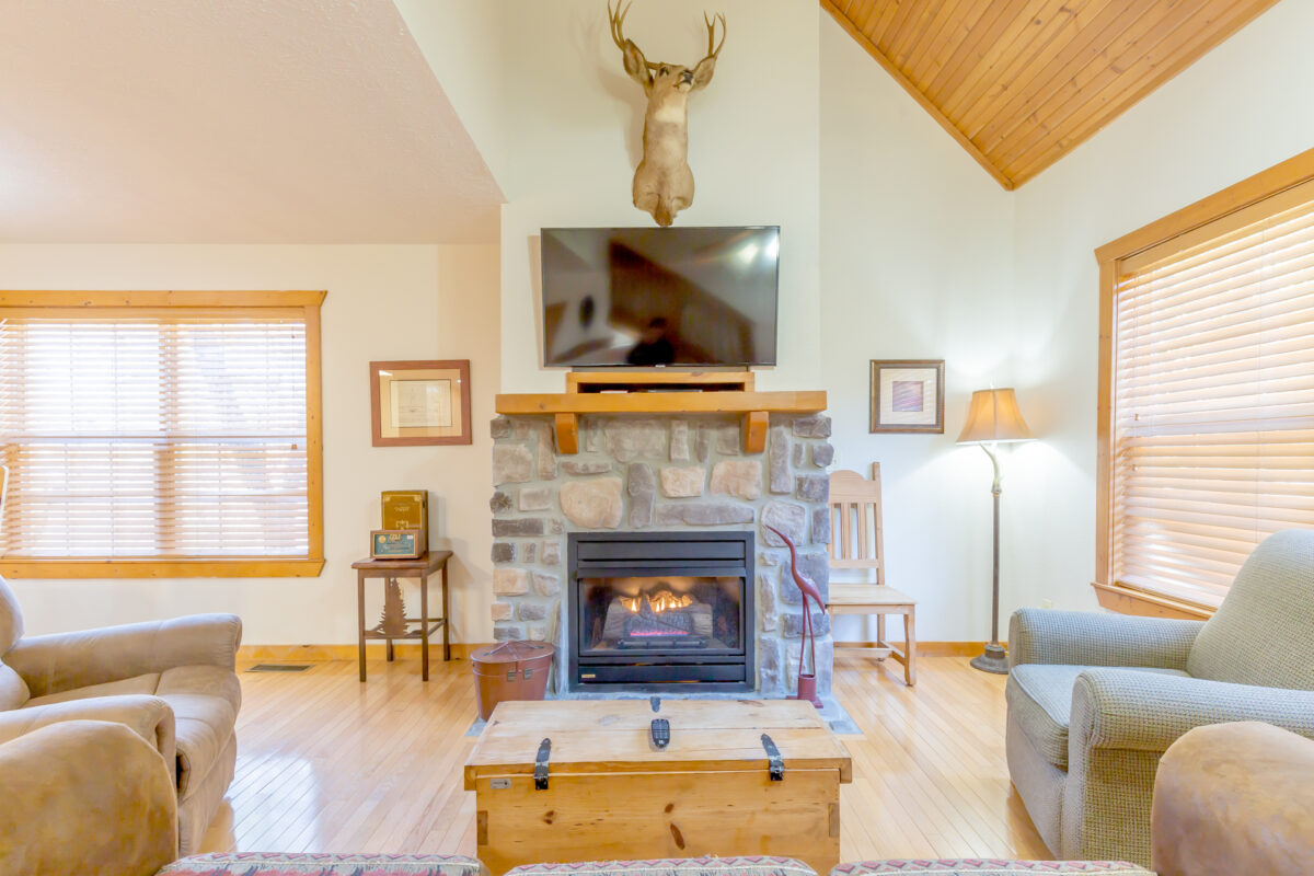 Stonebridge Lodge 73B Living Room 3