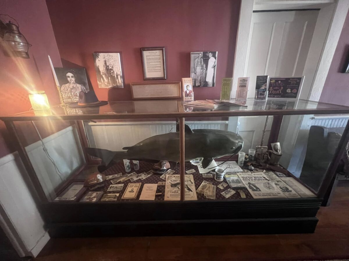 A display case inside a room with photos on the red painted walls.