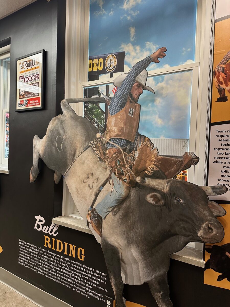 A diorama of a bull rider mid-ride.