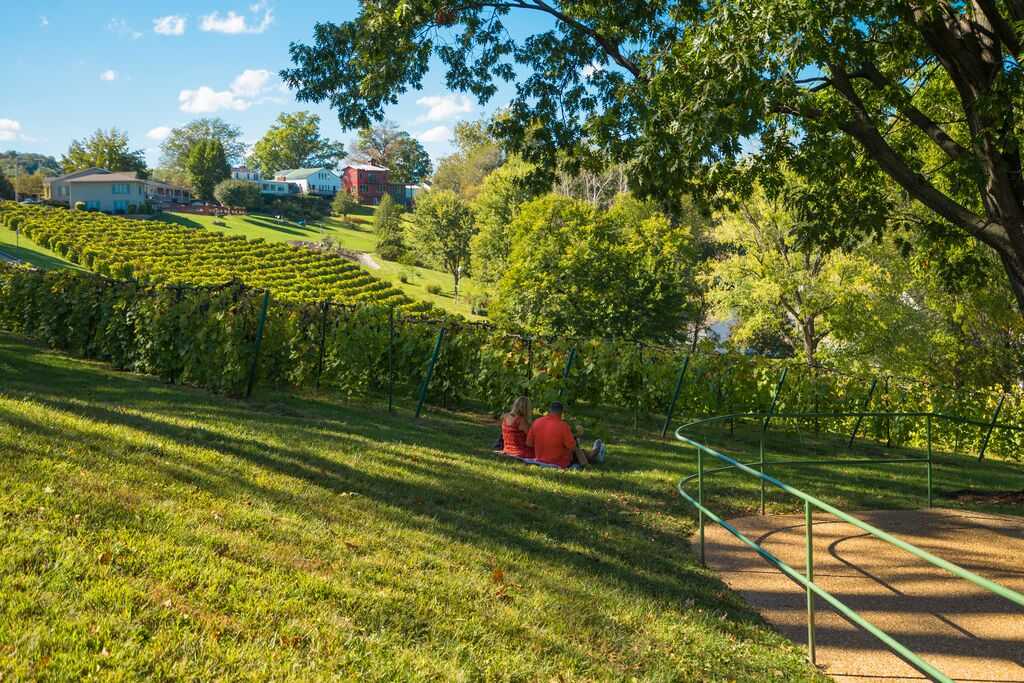 A couple sits in the grass beside a vibrant green vineyard with buildings in the background.