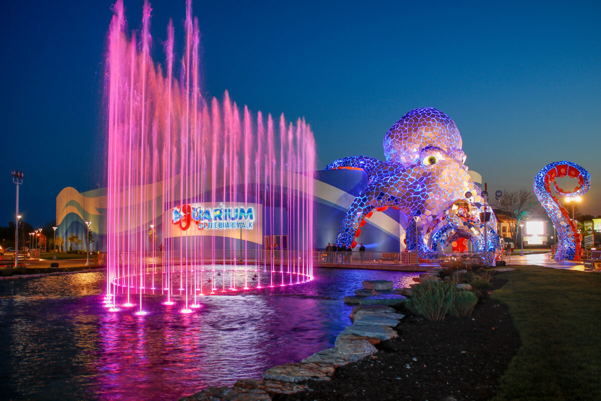 Visit the Aquarium at the Boardwalk