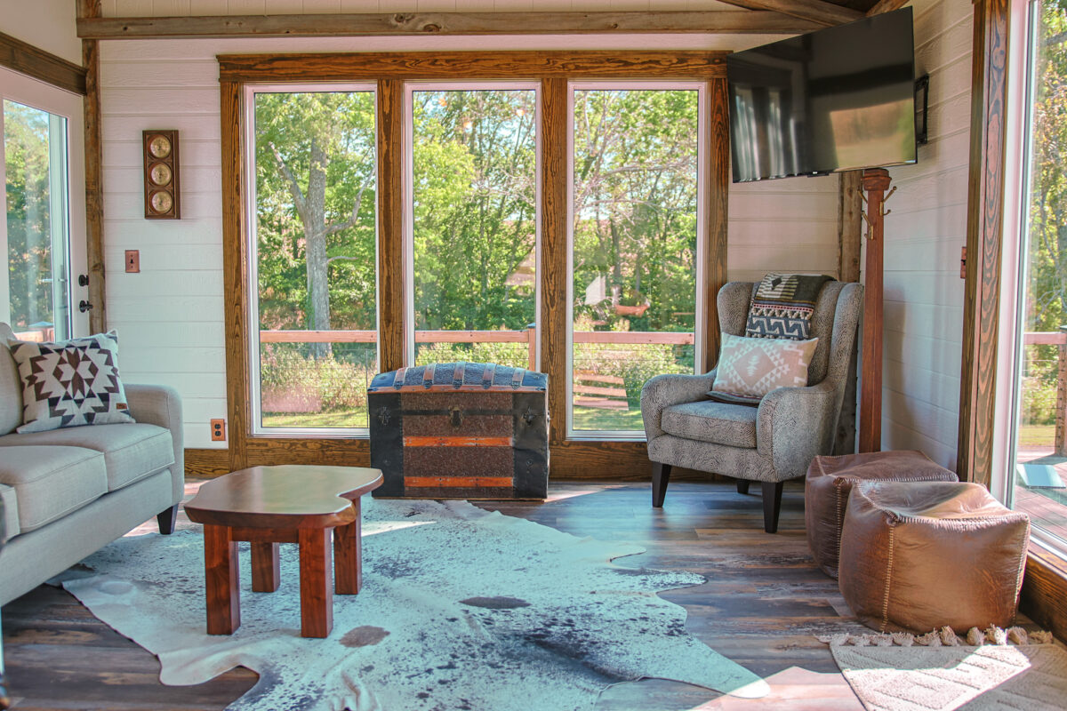 cozy-living area-animal skin rug-natural sunlight-chair-tv