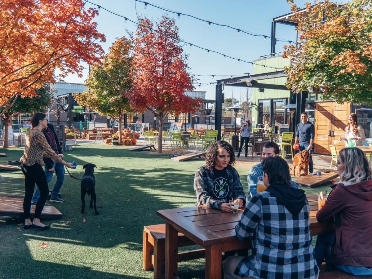 Game Yard at Chicken N Pickle