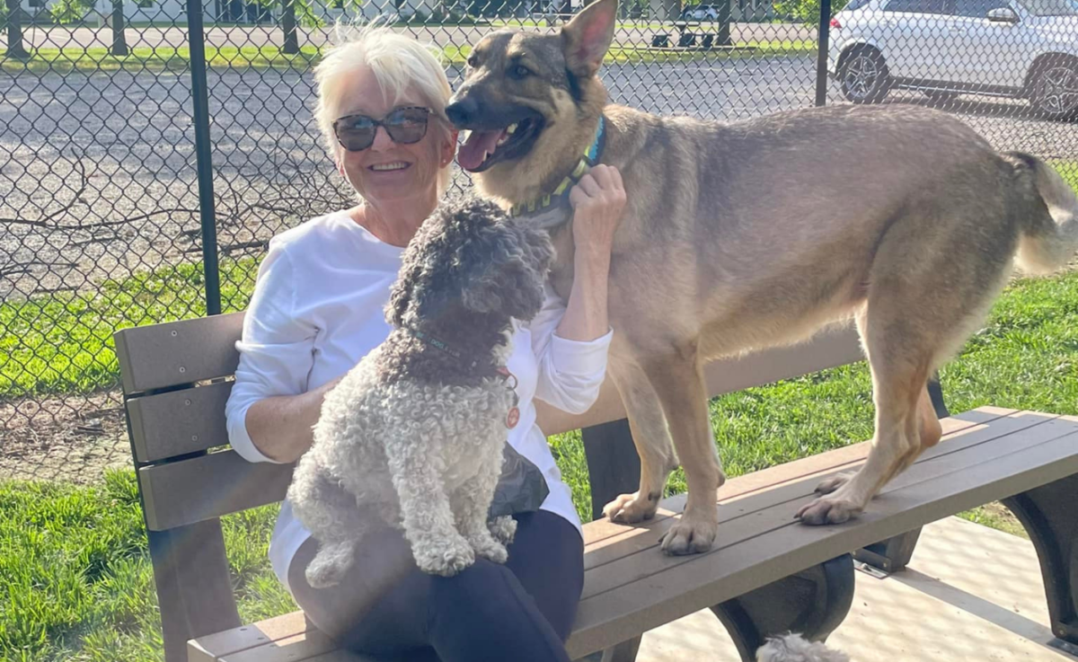 A woman pets two dogs on a bench.