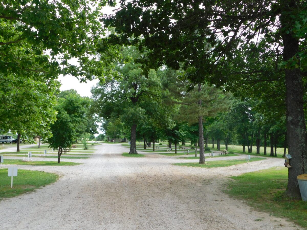 A road and trees.