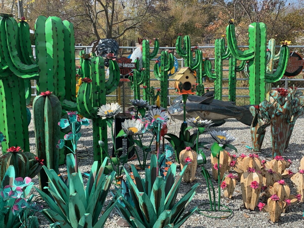 Catus sculptures arranged outdoors.