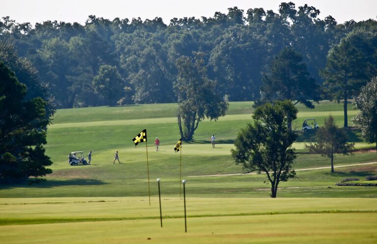 An outdoor view of a rolling green golf course under a sunny sky. Yellow and black checkered flags mark the holes, and several golfers and carts are scattered across the fairways, bordered by a dense line of trees.