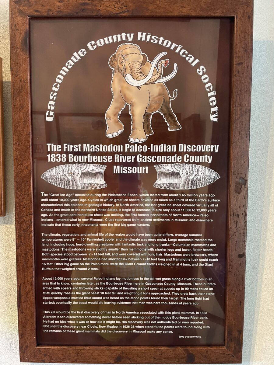 A mastodon display at the Gasconade County Historical Society Museum.