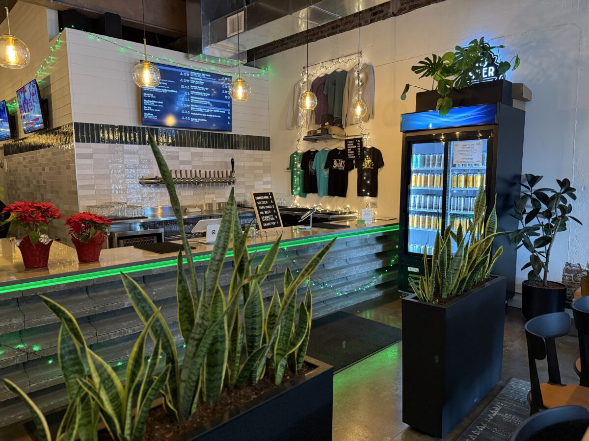 Plants in a planter in a room that includes coolers and counter space.