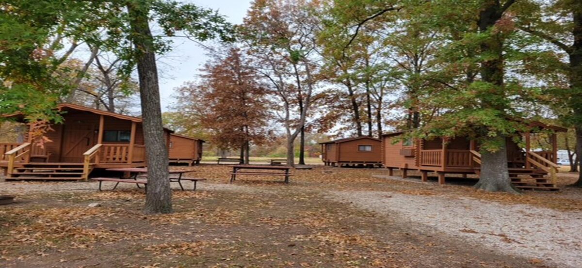 Cabins amidst some trees.