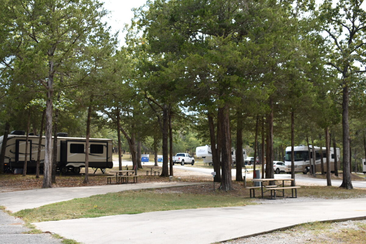 Campers behind a tree line near a road.
