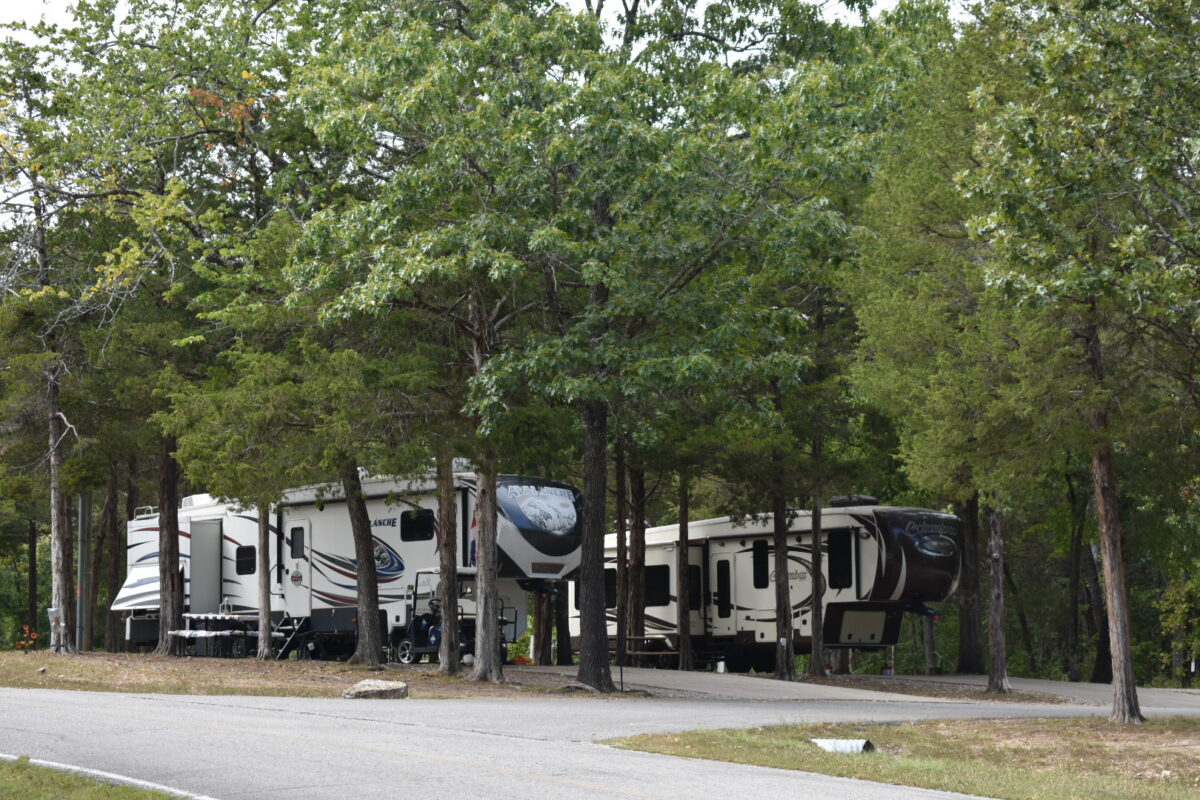 Campers behind a tree line near a road.