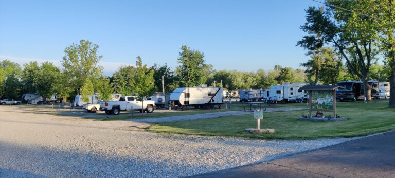 RVs and trucks parked near trees and gravel.