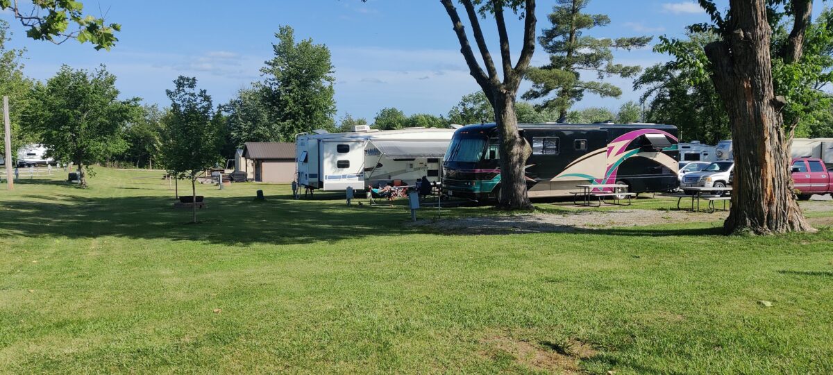 RVs and trucks parked near trees and gravel.