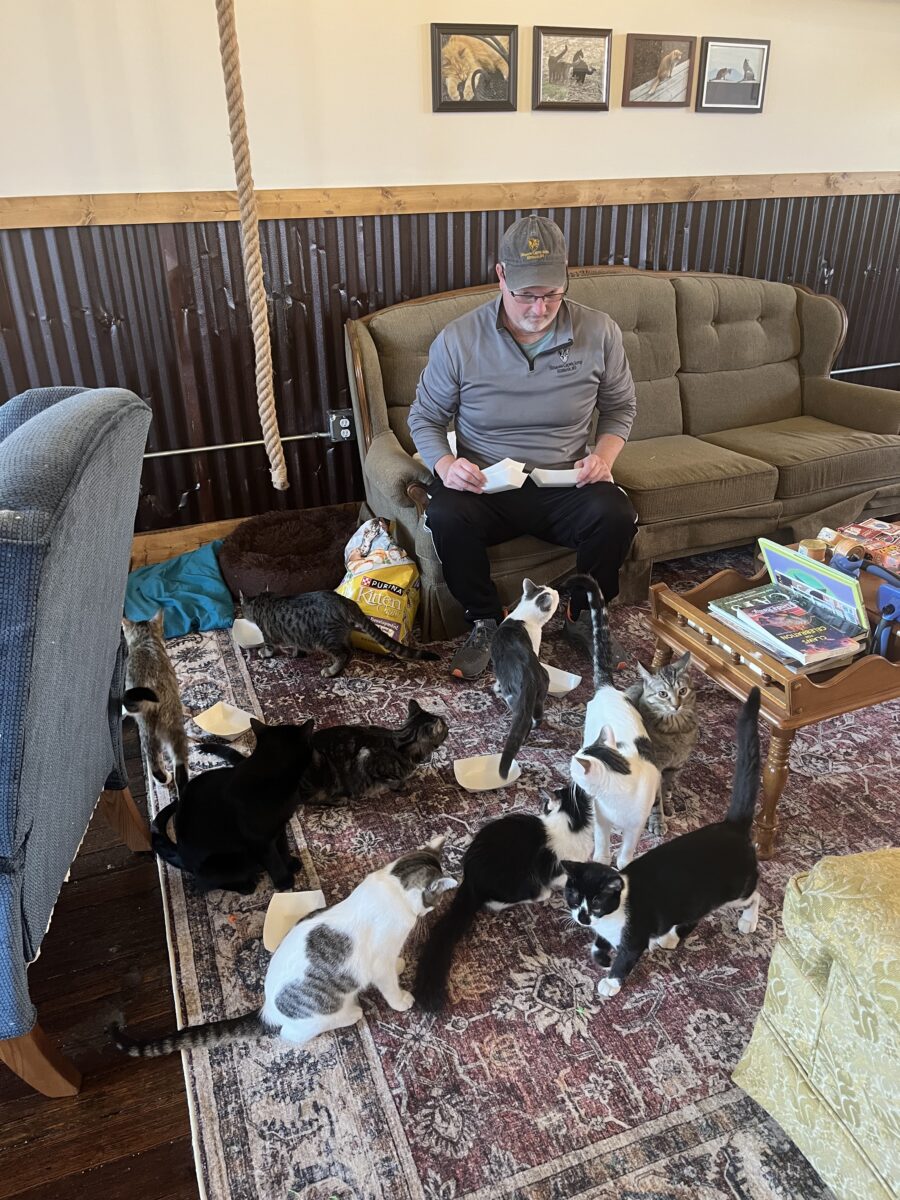 A visitor sits with several cats at a cat cafe.