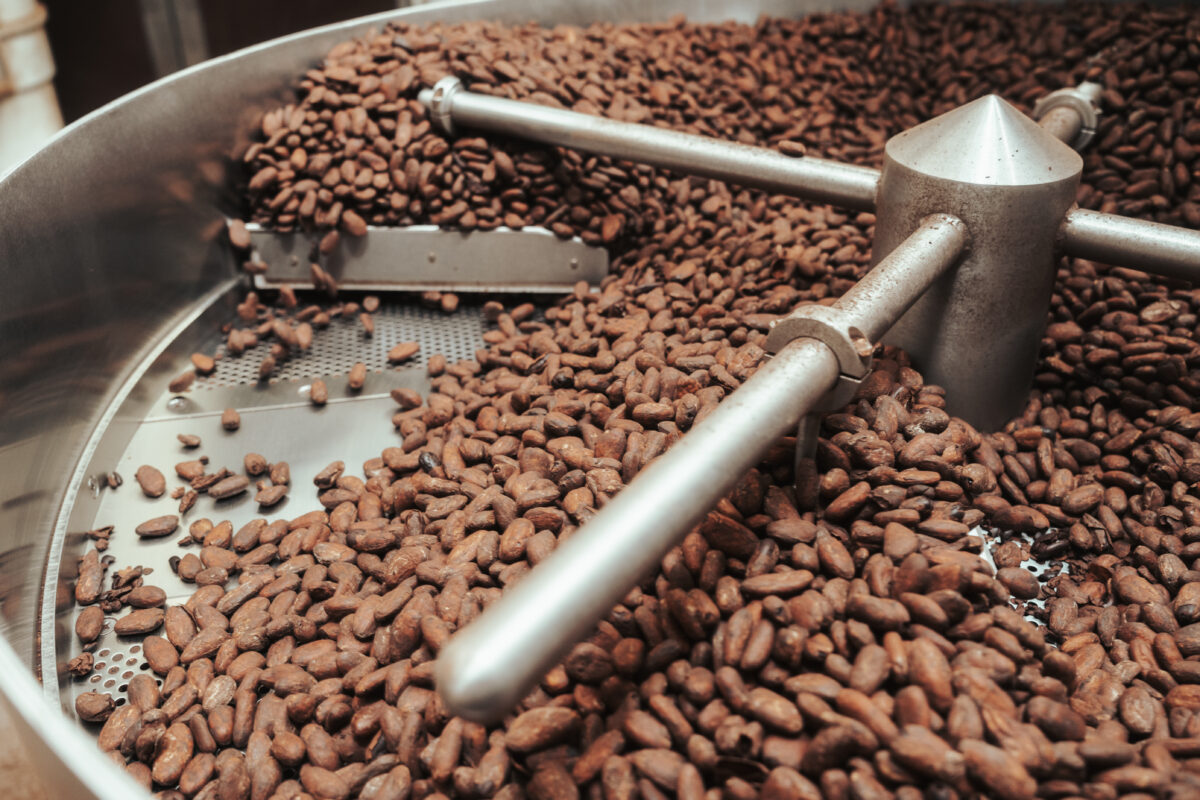 Roasting cocoa beans spinning in a stainless steel cooling tray