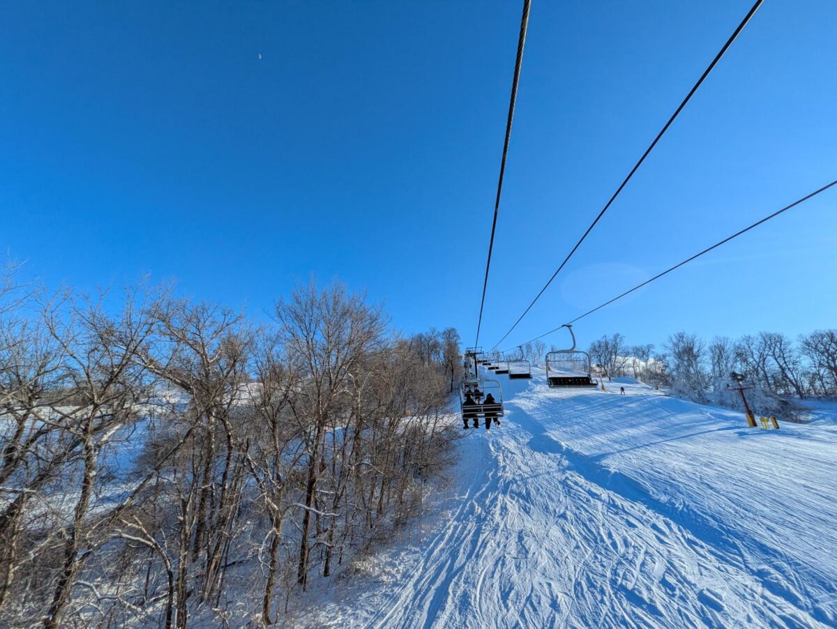 Ski lines, snow and trees.