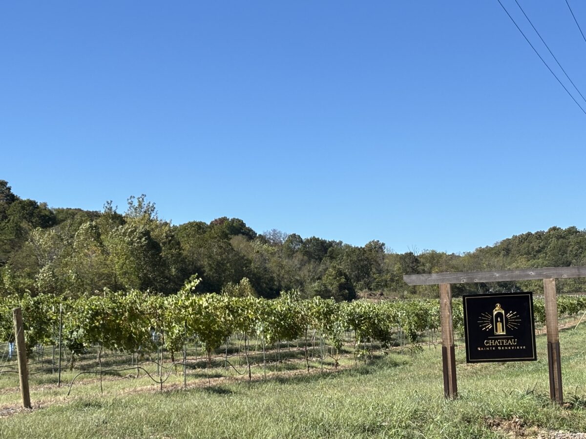 blue sky over vineyards with a wooden sign for winery