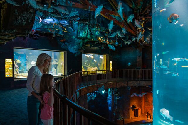 A woman and a young girls look at fish in a large aquarium at Wonders of Wildlife National Museum & Aquarium.